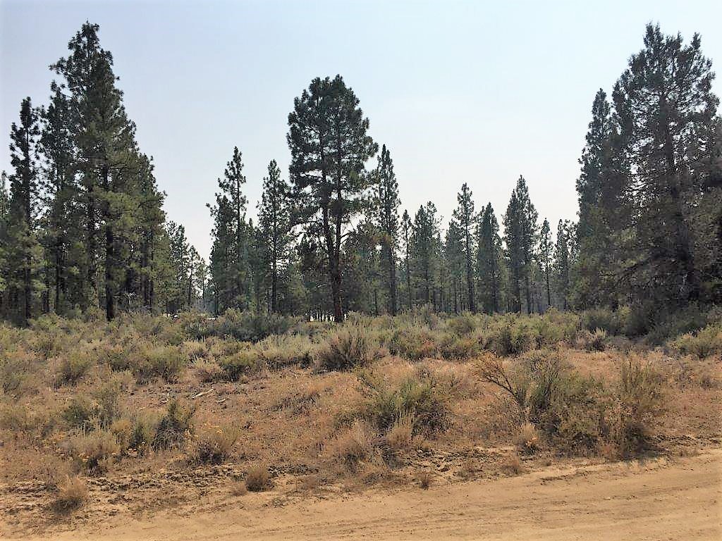 2.43 acres near Sprague River, OR