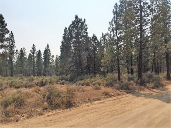 2.43 acres near Sprague River, OR - Image 3