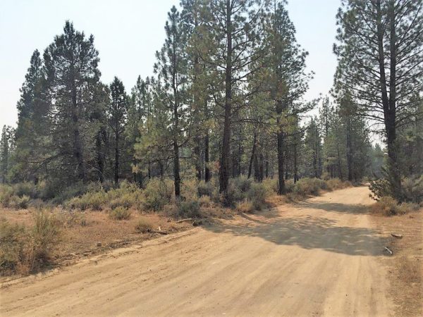 2.43 acres near Sprague River, OR - Image 7