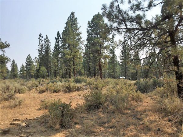 2.43 acres near Sprague River, OR - Image 6