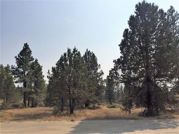 2.32 Acres near Sprague River, OR - Image 5