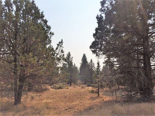 2.32 Acres near Sprague River, OR - Image 4
