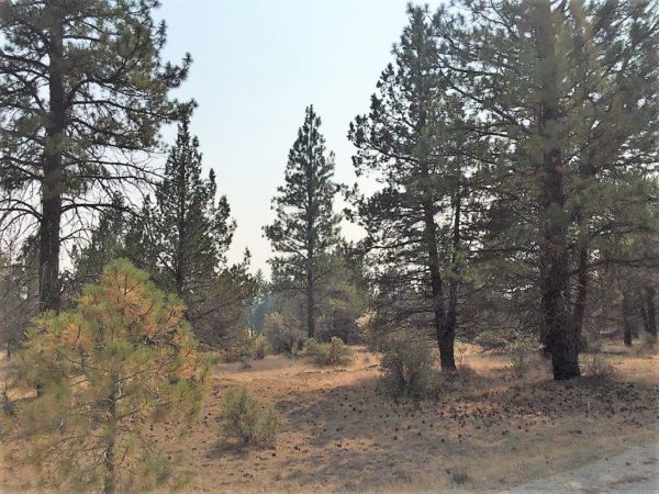 2.32 Acres near Sprague River, OR - Image 6