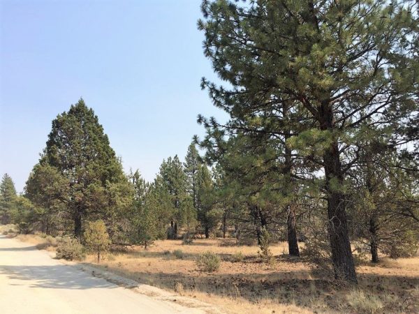 2.32 Acres near Sprague River, OR - Image 3