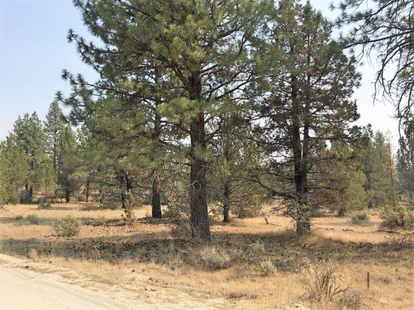 2.32 Acres near Sprague River, OR - Image 7
