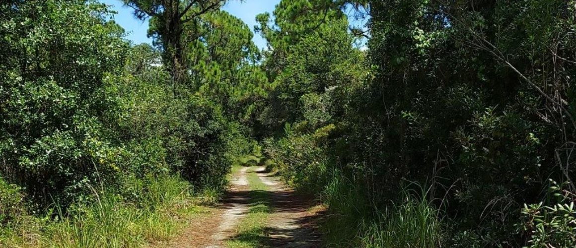 .35 acres in Highlands County, Florida