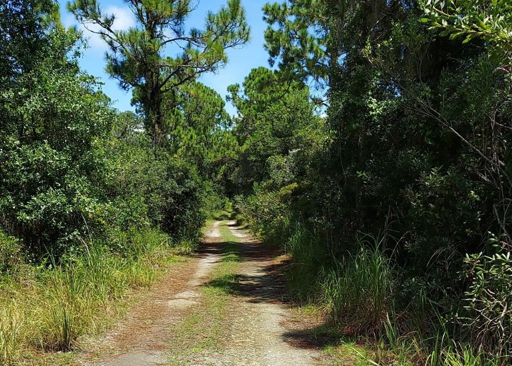 .35 acres in Highlands County, Florida