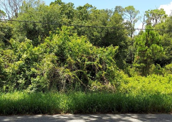 .26 acres near Lake Placid, Florida - Image 12