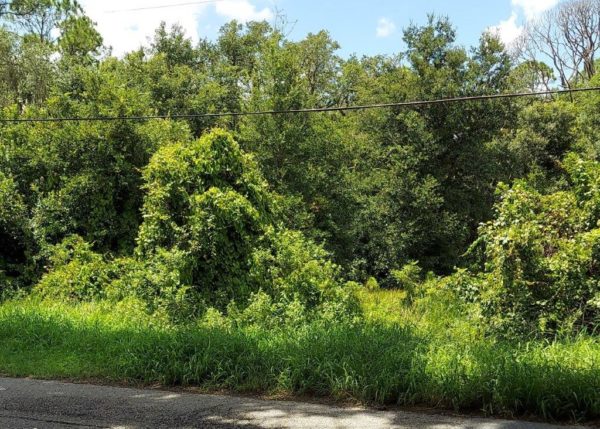 .26 acres near Lake Placid, Florida - Image 11