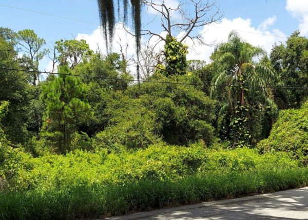 .26 acres near Lake Placid, Florida - Image 5