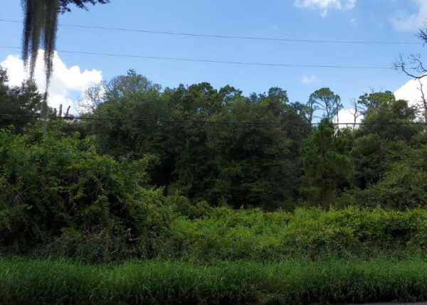 .26 acres near Lake Placid, Florida - Image 10