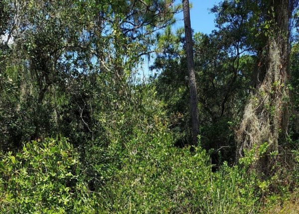 .35 acres in Highlands County, Florida - Image 10