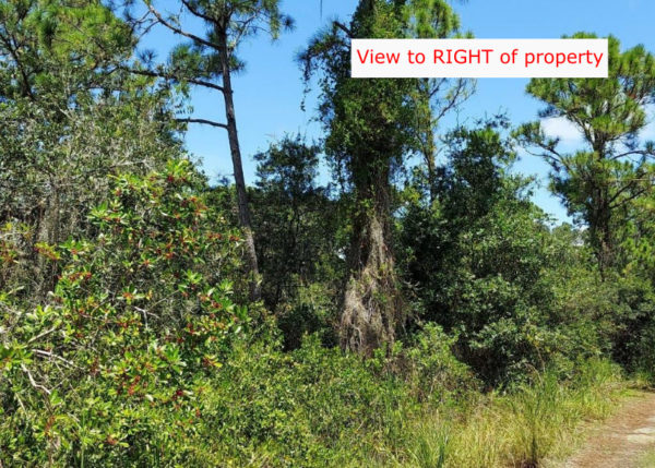 .35 acres in Highlands County, Florida - Image 3