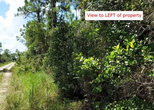 .35 acres in Highlands County, Florida - Image 2