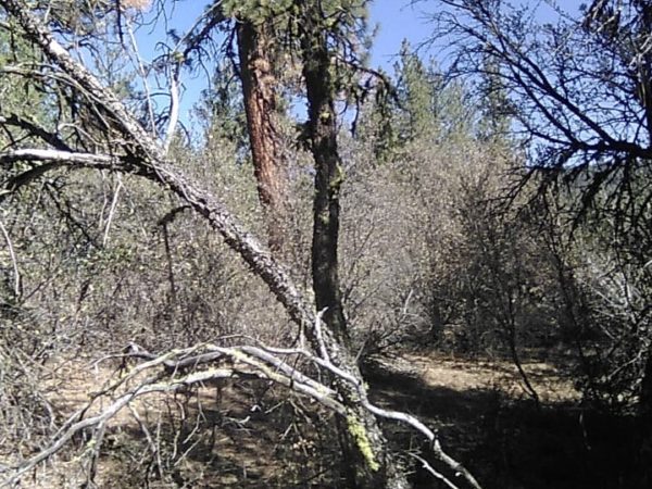 2.88 acres in Klamath County, OR - Image 5