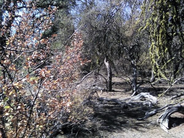 2.88 acres in Klamath County, OR - Image 10