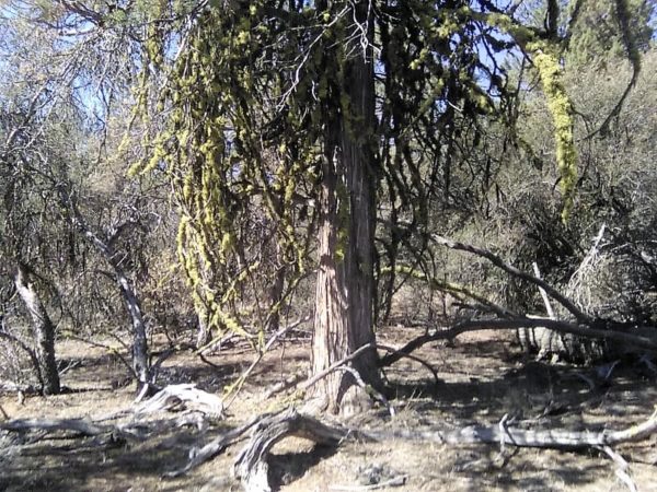 2.88 acres in Klamath County, OR - Image 9