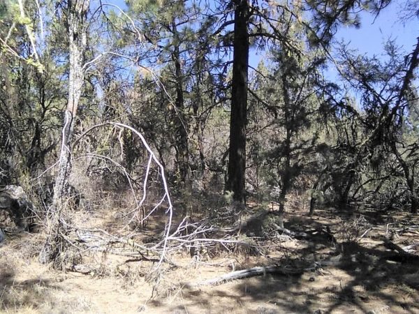 2.88 acres in Klamath County, OR - Image 8