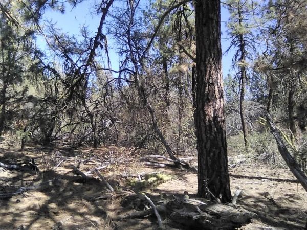 2.88 acres in Klamath County, OR - Image 2
