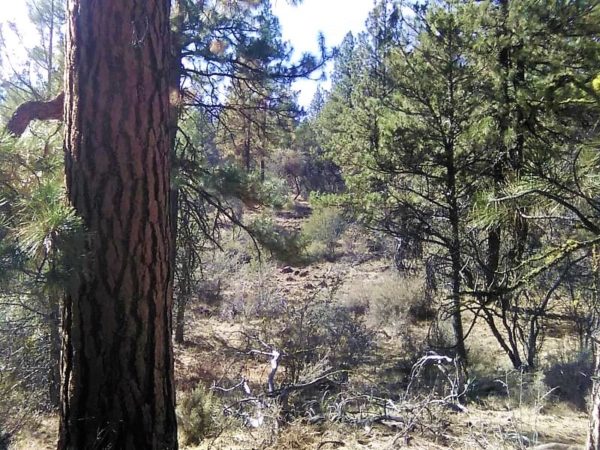 1.96 acres in Klamath County, OR - Image 2