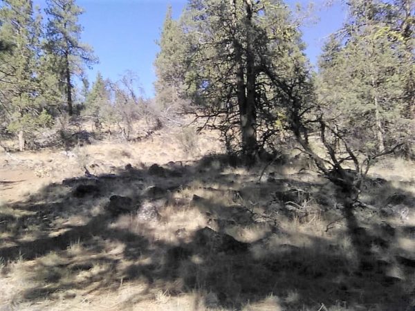 1.96 acres in Klamath County, OR - Image 13