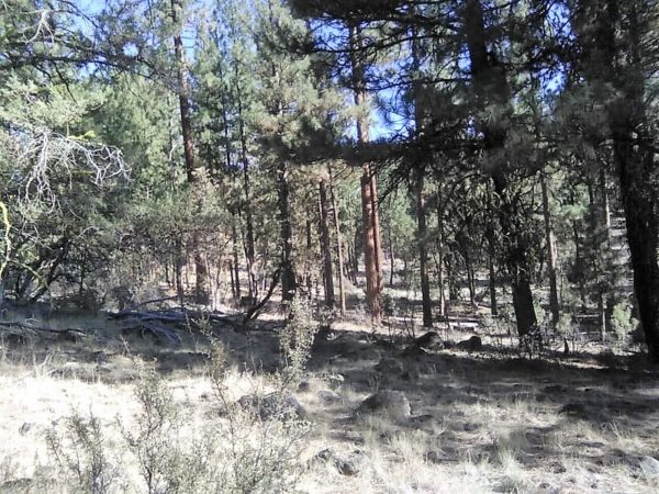 1.96 acres in Klamath County, OR - Image 12