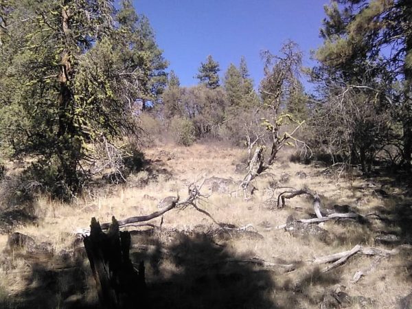 1.96 acres in Klamath County, OR - Image 11