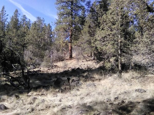 1.96 acres in Klamath County, OR - Image 10
