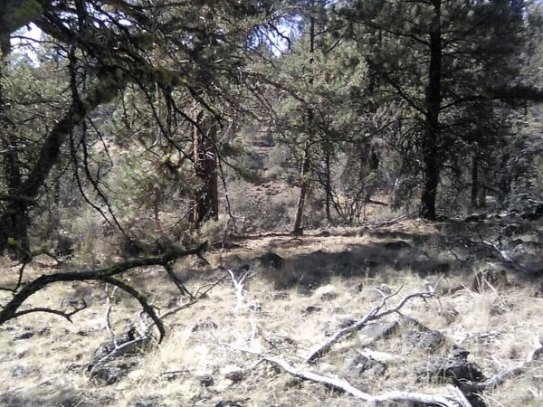 1.96 acres in Klamath County, OR - Image 9