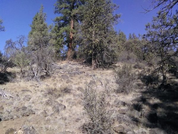 1.96 acres in Klamath County, OR - Image 8
