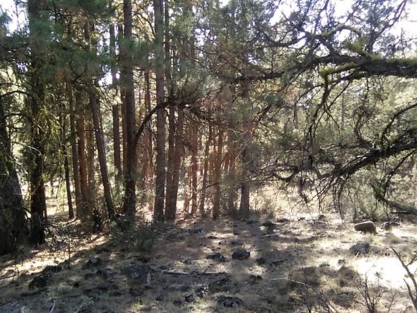 1.96 acres in Klamath County, OR - Image 7