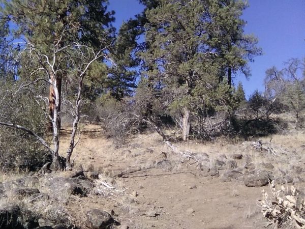 1.96 acres in Klamath County, OR - Image 6