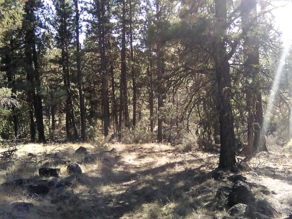 1.96 acres in Klamath County, OR - Image 5