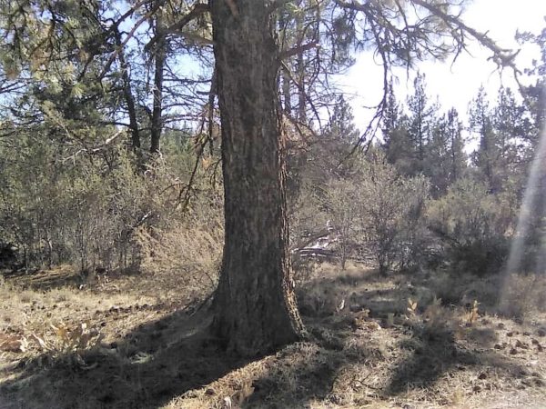 1.96 acres in Klamath County, OR - Image 20