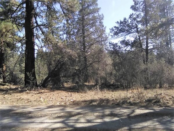 1.96 acres in Klamath County, OR - Image 19
