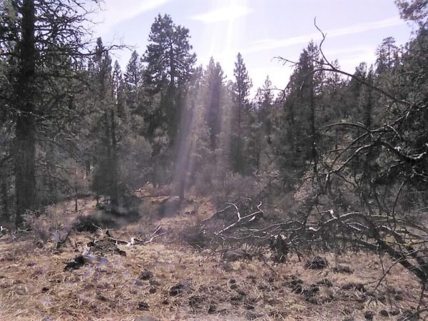 1.96 acres in Klamath County, OR - Image 18