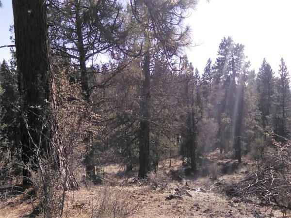 1.96 acres in Klamath County, OR - Image 16