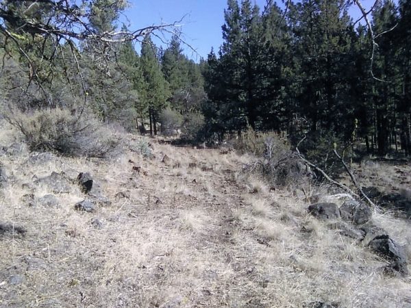 1.96 acres in Klamath County, OR - Image 15