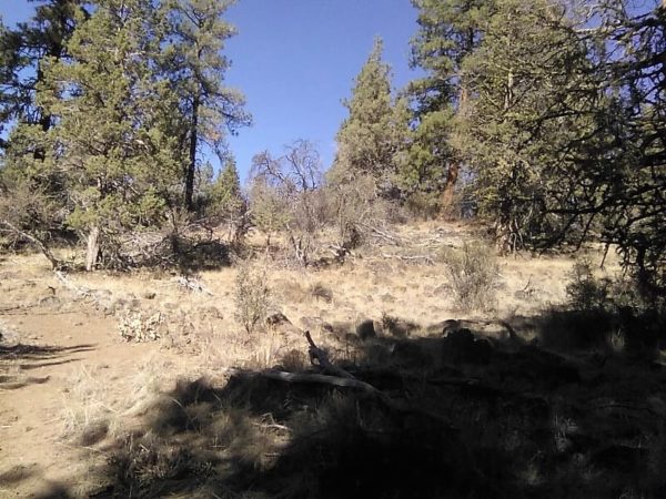 1.96 acres in Klamath County, OR - Image 14