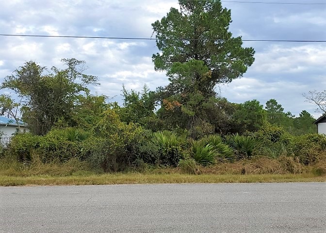 .26 acres near Lake Placid, FL