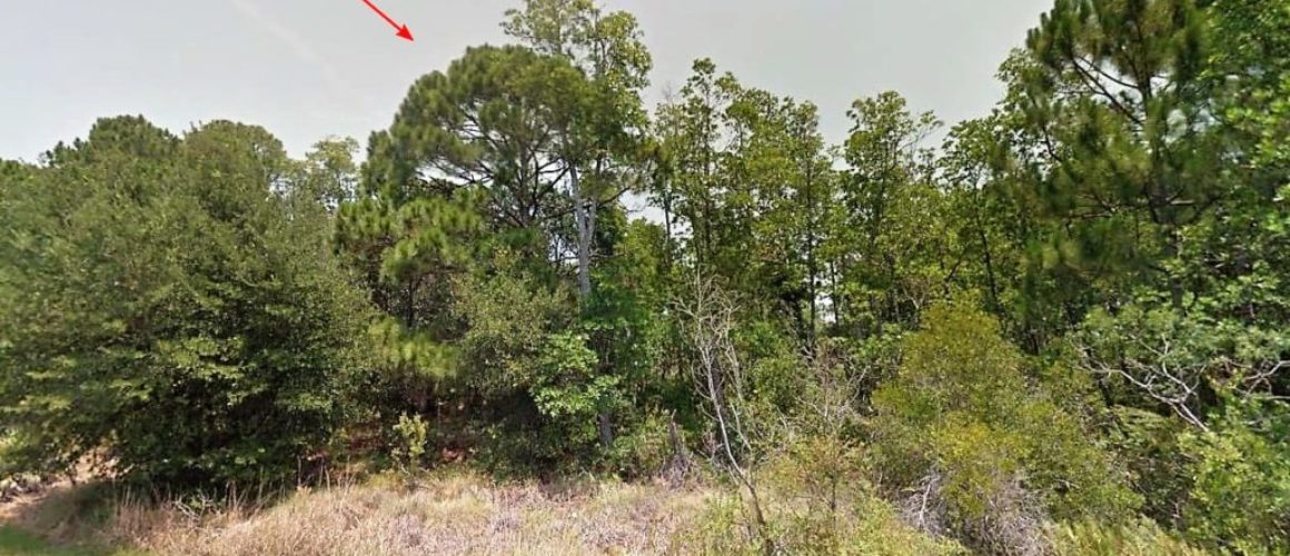 .26 acres in Central Florida