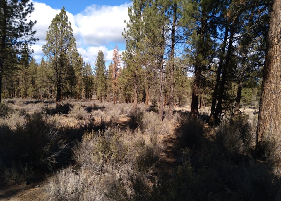 2.41 acres near Sprague River, OR