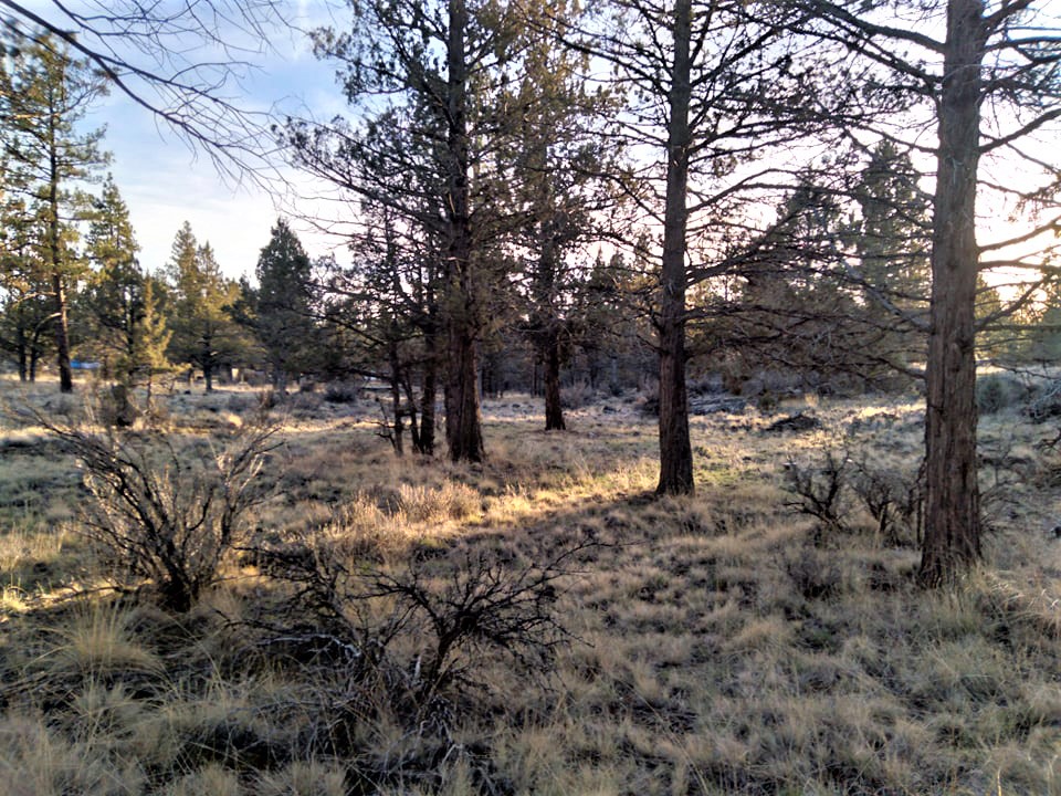 2.48 acres near Bonanza, OR