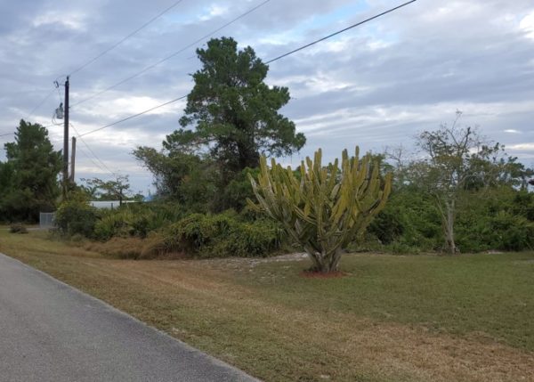 .26 acres near Lake Placid, FL - Image 8