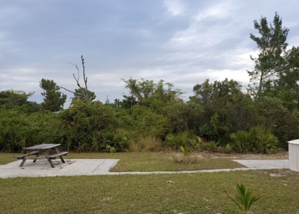 .26 acres near Lake Placid, FL - Image 7