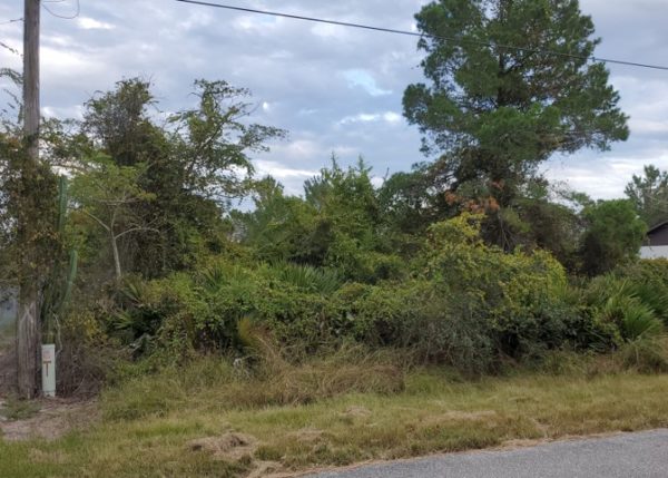 .26 acres near Lake Placid, FL - Image 3