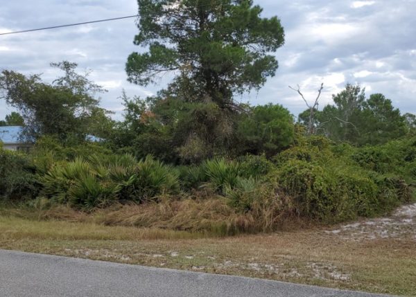 .26 acres near Lake Placid, FL - Image 4