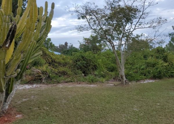 .26 acres near Lake Placid, FL - Image 2