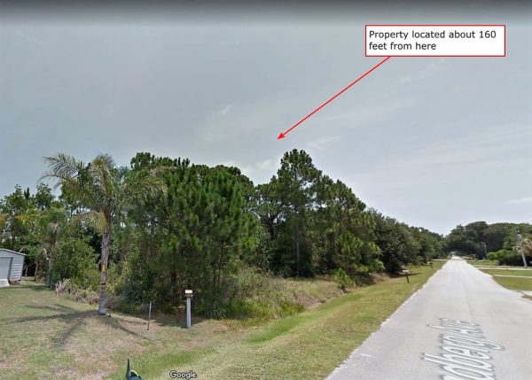 .26 acres in Central Florida - Image 2