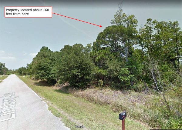 .26 acres in Central Florida - Image 3